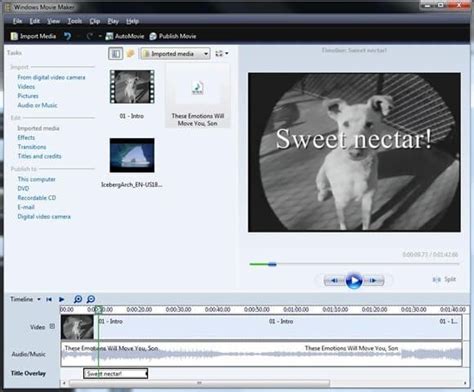 Old version of windows movie maker - acetoprograms