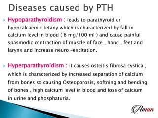 Parathyroid gland by aman chauhan | PPT