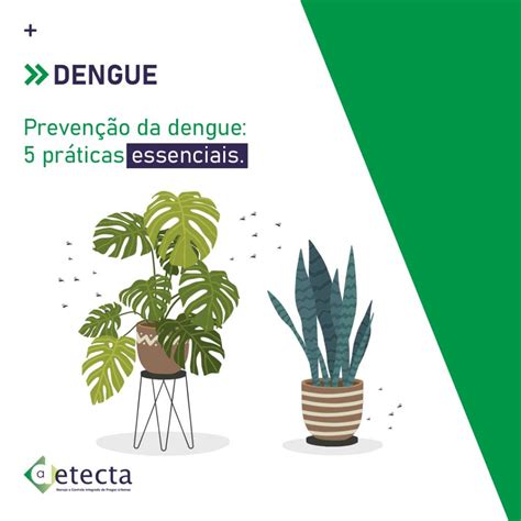 Prevenção Da Dengue 5 Práticas Essencias Detecta