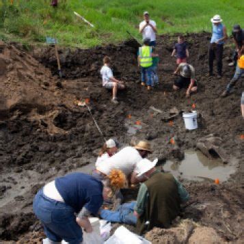 Mastodon Find in West Michigan | U-M LSA Museum of Paleontology