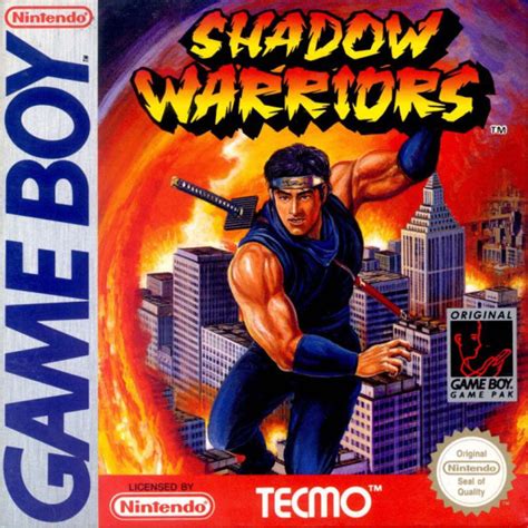 Shadow Warriors Übersicht ntower Dein Nintendo Onlinemagazin