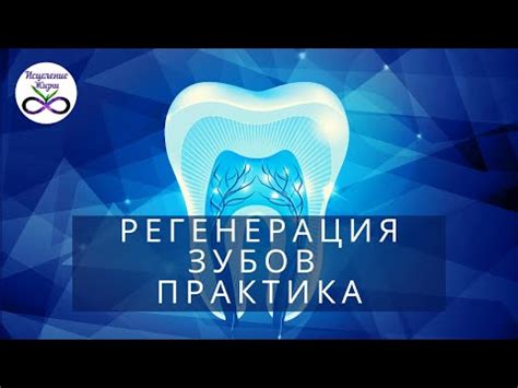 Регенерация зубов практика - YouTube