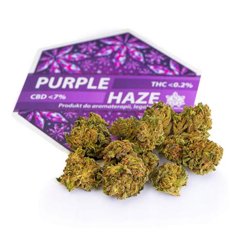 30g Purple Haze Susz Konopny THC 11759133285 Oficjalne Archiwum Allegro