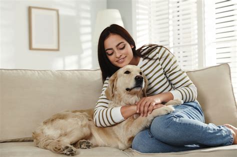 10 Responsible Pet Care Tips In 2023 Pet Care Bytes