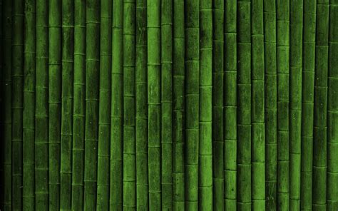 Sugarcane Wallpapers Wallpaper Cave