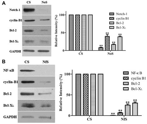 Genistein Inhibits Mda Mb 231 Triple Negative Breast Cancer Cell Growth