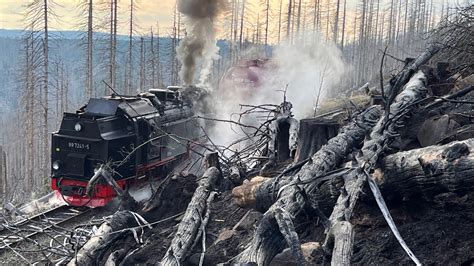 Harz National Park Big Fire On Brocken Extinguished Archyde