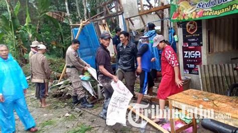 Pohon Tumbang Di Trenggalek Timpa Kios Buah Dan Kabel Listrik Satu