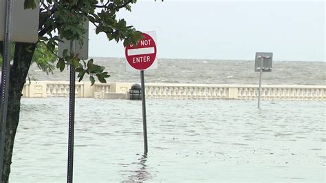 Flesh Eating Bacteria May Be In Hurricane Idalia Flood Waters Fox 13