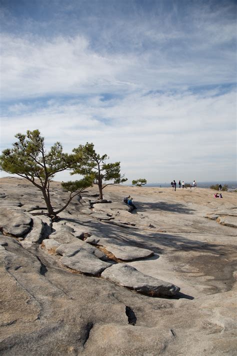 Free Images Beach Landscape Sea Coast Tree Sand Rock Ocean