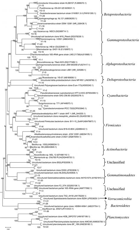 Phylogenetic Trees Depicting Unique Otus Obtained Within Different