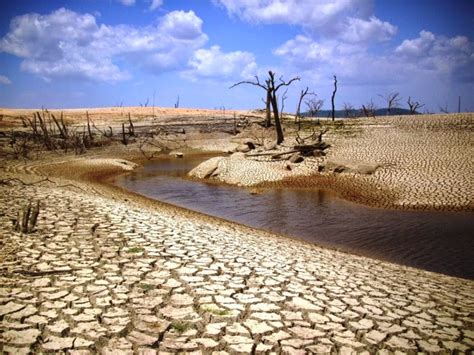 Deforestacion Mind Map