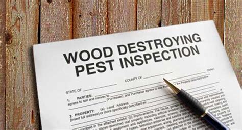 Florida Wood Destroying Organism WDO Inspection