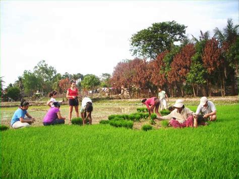 Private Hiking Kbal Spean And Banteay Srei Temple Tour GetYourGuide