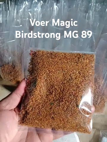 Voer Magic Birdstrong MG Crumble 89 Lokasi Cibedug YouTube