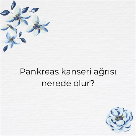 Pankreas kanseri ağrısı nerede olur Ne Demek Zıt Anlamı Eş Anlamı