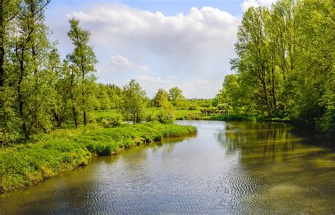 Bent Creek In A Nature Reserve Stock Image Image Of Banks Foliage