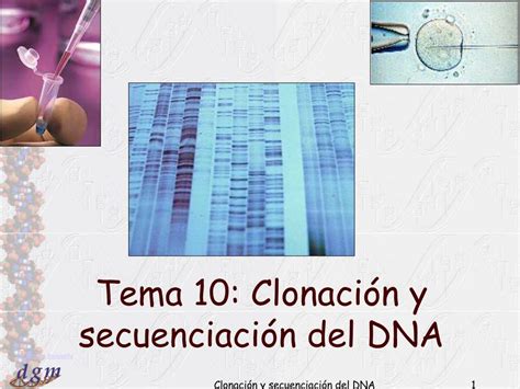 Ppt Tema Clonaci N Y Secuenciaci N Del Dna Powerpoint