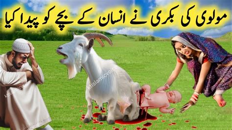 Molvi Ki Bakri Ne Insan Ka Baccha Paida Kiya Per Kaise Goat Gives