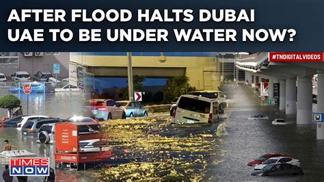 After Dubai Deluge Saw Planes Swimming Cars Floating Malls Flooded