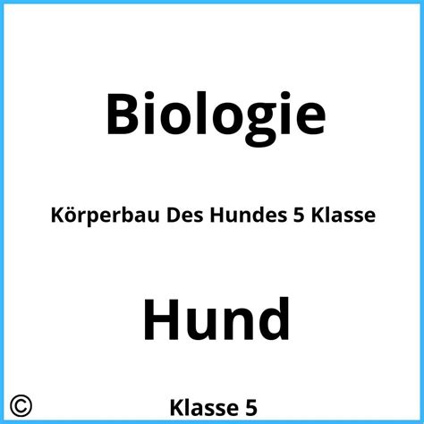 Körperbau Des Hundes 5 Klasse