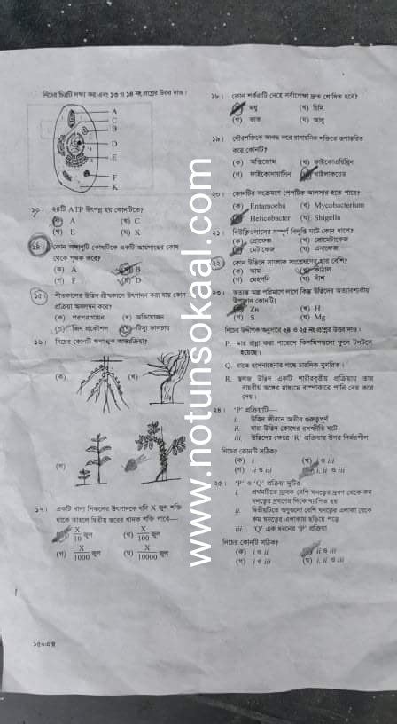 Ssc Biology Jib Biggan Mcq Question With Answer Pdf All Board