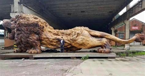 Giant Carved Lion Is World S Largest Sculpture Made From Redwood