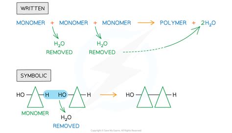 CIE A Level Biology复习笔记2 2 2 Covalent Bonds in Polymers 翰林国际教育