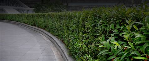 VKK Greenlife Garden