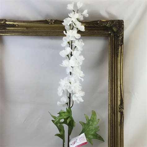 Delphinium Pure White Village Green