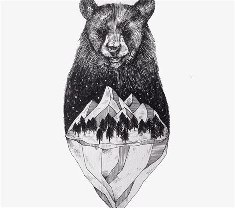 Bear Pencil Sketch at PaintingValley.com | Explore collection of Bear ...