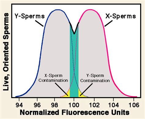 Sperm Selection Fertilization Not Random After All Psychology Today