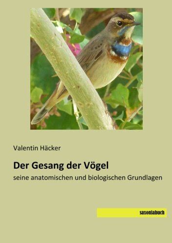 Der Gesang Der Voegel Seine Anatomischen Und Biologischen Grundlagen