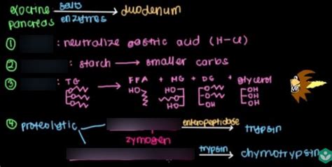 Biology Ii Module Of The Mcat Self Prep Ecourse Lesson Digestive