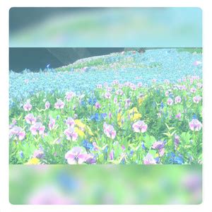 VRChat向けワールド地形5種セット 花 Pocket Garden BOOTH