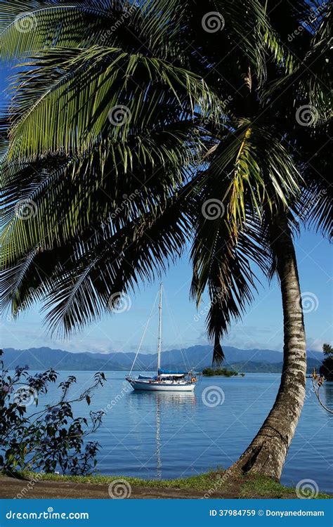 Savusavu Harbor Vanua Levu Island Fiji Stock Image Image Of