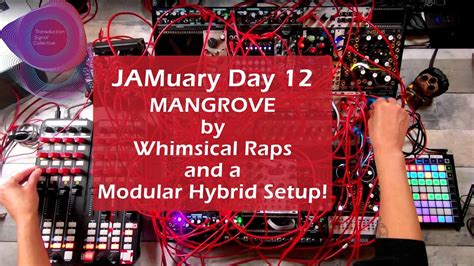 JAMuary 2022 Day 12 Melodic Techno Jams W The MANGROVE And A