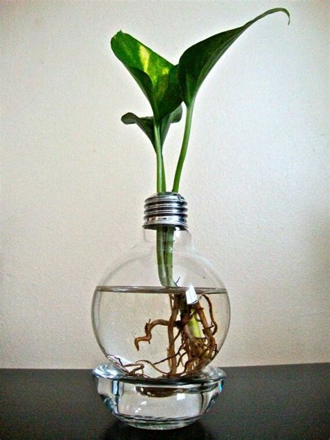 Pin By Debbie Warren Berry On Lightbulb Crafts Flower Pots Light