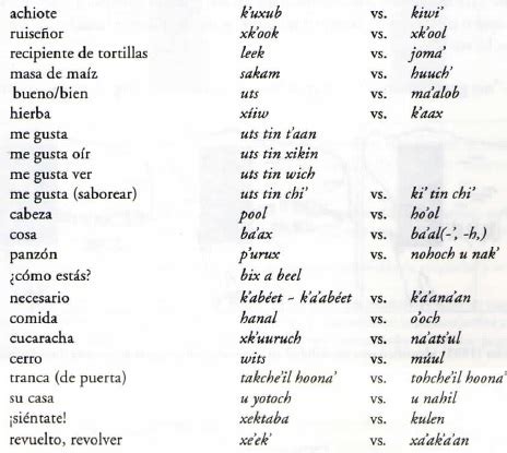 100 Palabras En Maya Con Su Significado Poners