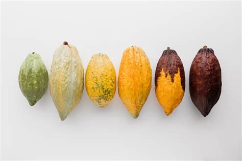 Cacao Pod Foto Premium