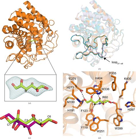 Iucr Structural Insights Into The Substrate Specificity And Activity