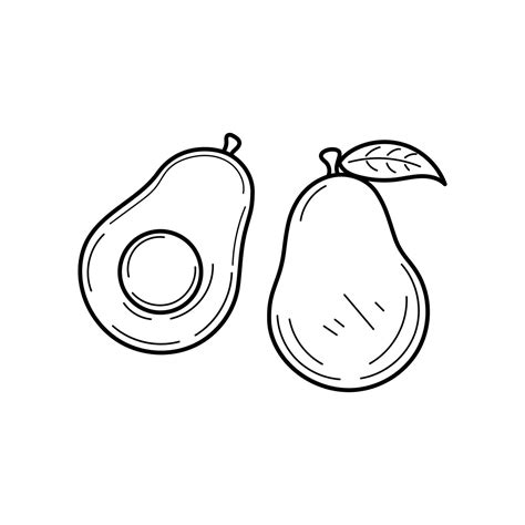 Hand Drawn Avocado Doodle Illustration 20906627 Vector Art At Vecteezy