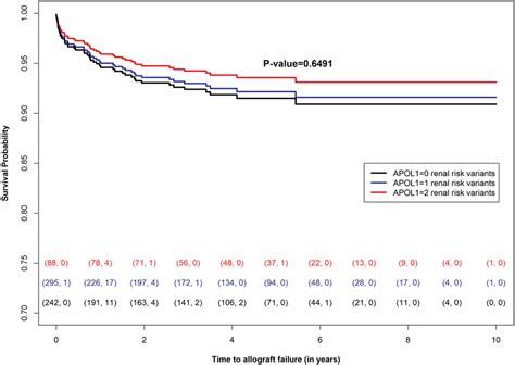 Allograft Survival Time With Or Apol Renal Risk Variants In