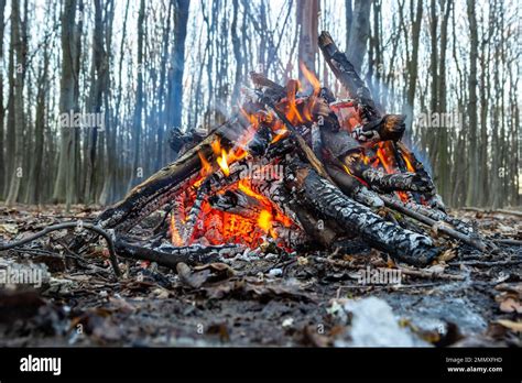 Fogata En El Bosque De Primavera Descansa El Fin De Semana Peligro De