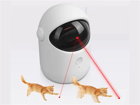 Cat Laser Robot Toy | StackSocial