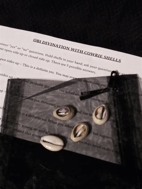 Obi Divination With 4 Cowrie Shells And Instructions Etsy Cowrie