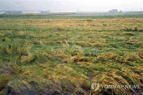 잦아지는 자연재해 농작물재해보험 가입하세요 아주경제