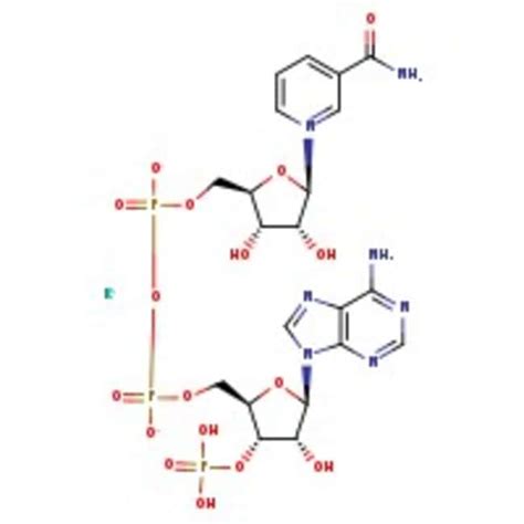 Beta Nicotinamid Adenin Dinucleotid Phosphat Monokaliumsalz Ca 90