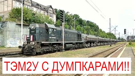 Тепловоз ТЭМ2У с гружёнными думпкарами - YouTube