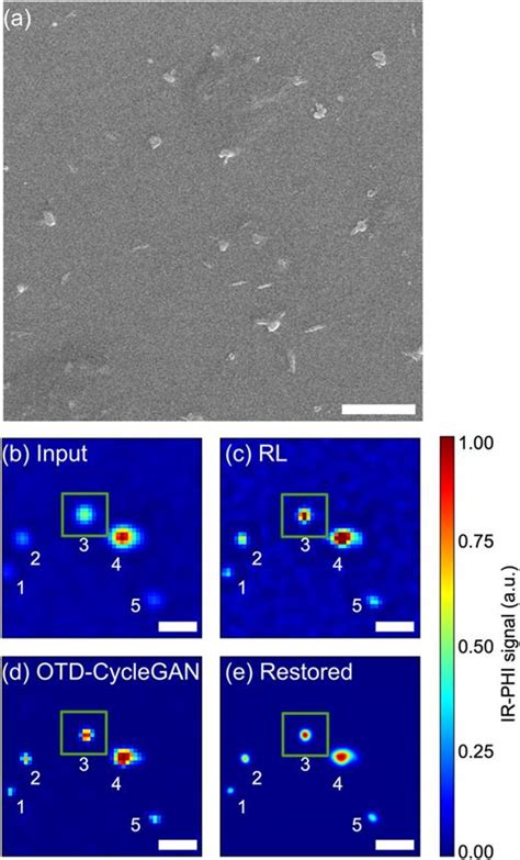 Deep Image Restoration For Infrared Photothermal Heterodyne Imaging The Journal Of Chemical